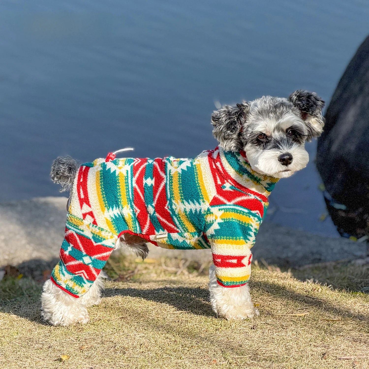 Christmas Themed Pet Clothes Warm Fleece Four Legged Dog Sweater Anti Shedding for Dogs And Cats Trendy Autumn Winter Pet Wear
Christmas Themed Pet Clothes Warm Fleece Four Legged Dog Sweater Anti Shedding for Dogs And Cats Trendy Autumn Winter Pet Wear