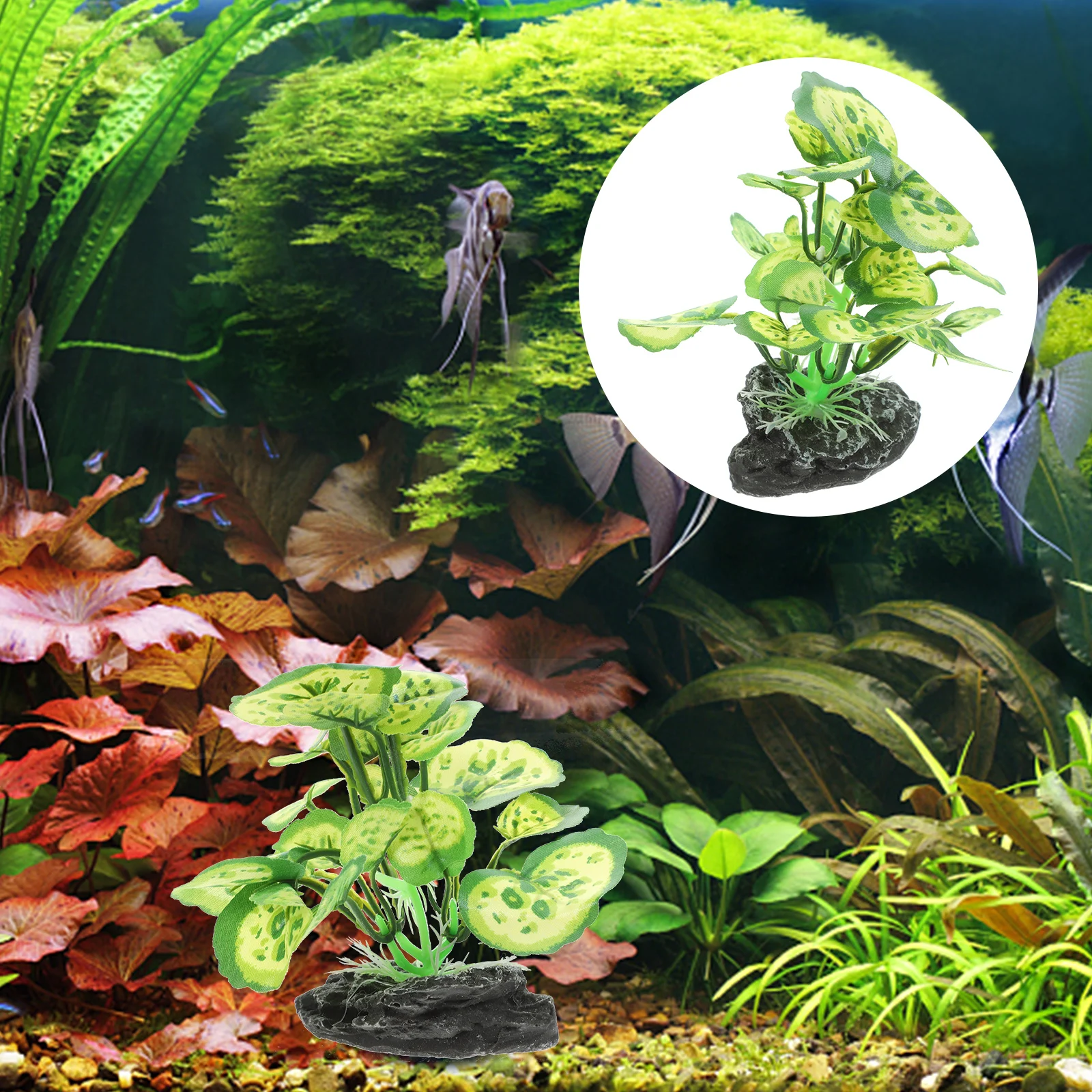 Premium Fake Plant Ornament Aquarium Decor Fish Tank Accessories Plastic Plants Salt Fresh Water Compatible Small Compact
Premium Fake Plant Ornament Aquarium Decor Fish Tank Accessories Plastic Plants Salt Fresh Water Compatible Small Compact