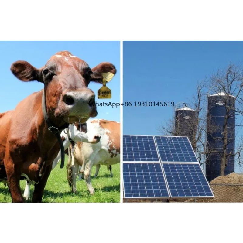 【From China】1.5HP Single Phase AC DC Solar Panel Powered Submersible Deep Well Pump 80M Head Solar High Pressure Sprinkler Irrig
【From China】1.5HP Single Phase AC DC Solar Panel Powered Submersible Deep Well Pump 80M Head Solar High Pressure Sprinkler Irrig