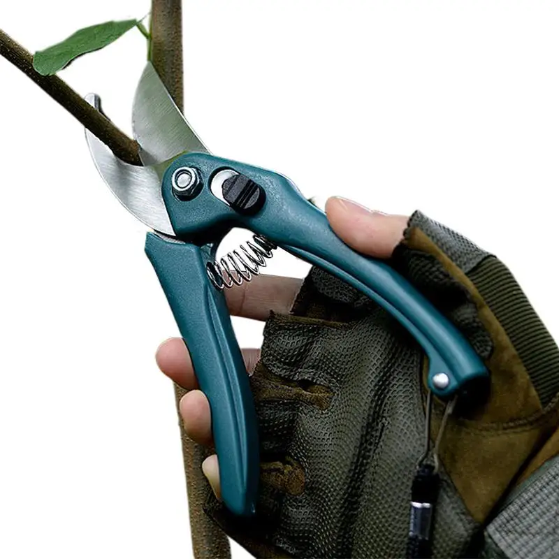 Pruning Shears Stainless Steel Pruning Snips Heavy Duty Safety Locking Cut Tools For Gardening Plants Bonsai Trees Small 
Pruning Shears Stainless Steel Pruning Snips Heavy Duty Safety Locking Cut Tools For Gardening Plants Bonsai Trees Small