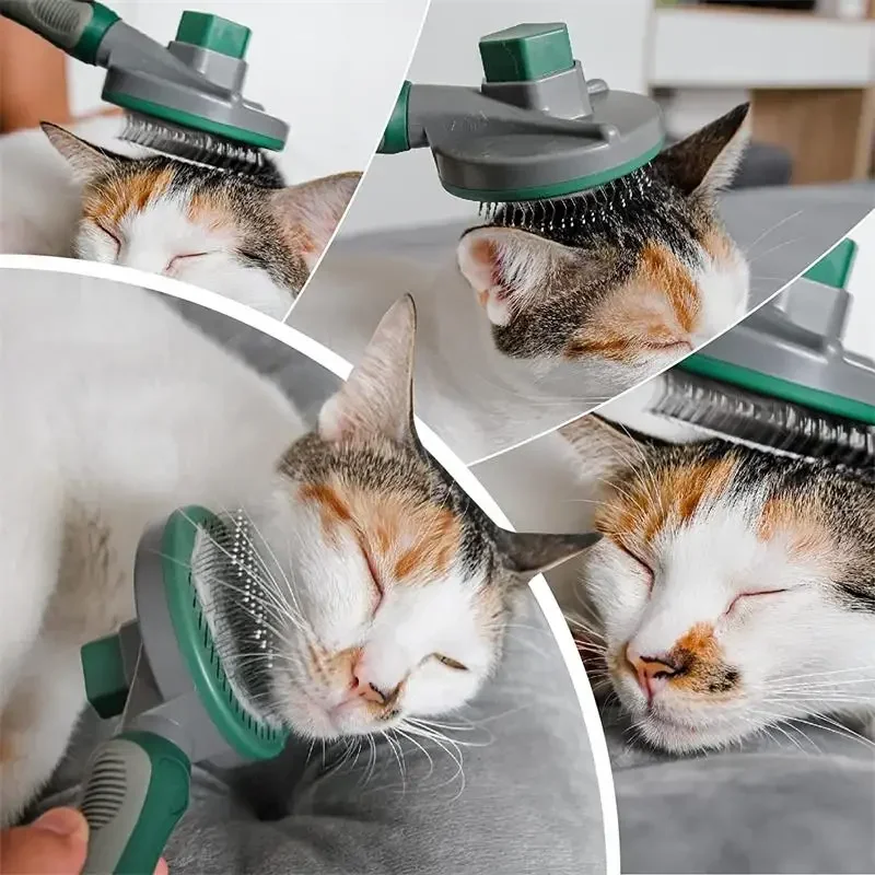 Self Cleaning Brush for Cats and Dogs, Removes Tangled Hair, Cat Accessories
Self Cleaning Brush for Cats and Dogs, Removes Tangled Hair, Cat Accessories