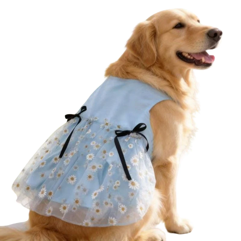 Small Dog Costume Dress Maltese Poodle Bichon Schnauzer Corgi Border Collie Husky Labrador Golden Retriever Big Dog Clothing 5XL
Small Dog Costume Dress Maltese Poodle Bichon Schnauzer Corgi Border Collie Husky Labrador Golden Retriever Big Dog Clothing 5XL