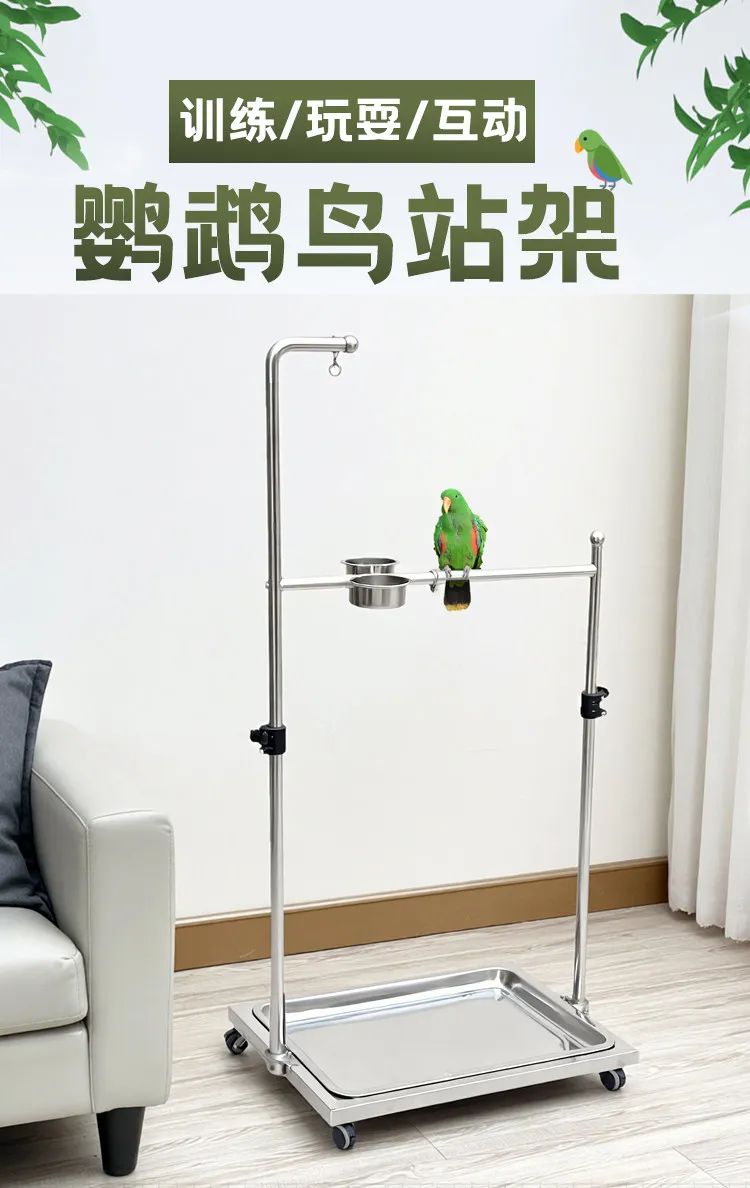 304 stainless steel parrot bird stand frame medium and large perching bird shelf diamond sunflower monk parrot supplies
304 stainless steel parrot bird stand frame medium and large perching bird shelf diamond sunflower monk parrot supplies
