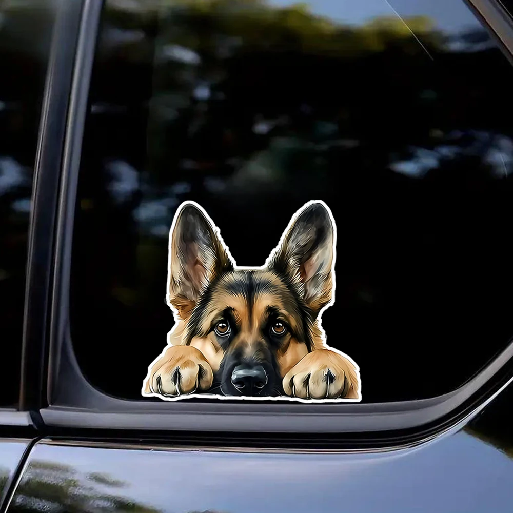 1PC Lying German Shepherd Vinyl Sticker, Self-Adhesive Waterproof Decal for Car Window Bumper Laptop Glass Wall Universal Decor
1PC Lying German Shepherd Vinyl Sticker, Self-Adhesive Waterproof Decal for Car Window Bumper Laptop Glass Wall Universal Decor