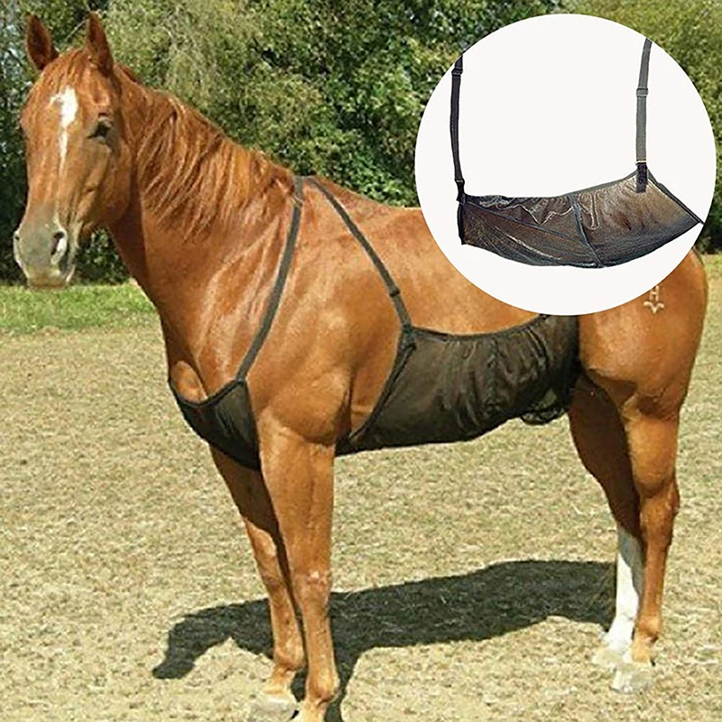 Adjustable Horse Fly Sheet Belly Guard Net Protection Blanket Rug Total Protection Comfortable Breathable and Scratch-Proof
Adjustable Horse Fly Sheet Belly Guard Net Protection Blanket Rug Total Protection Comfortable Breathable and Scratch-Proof