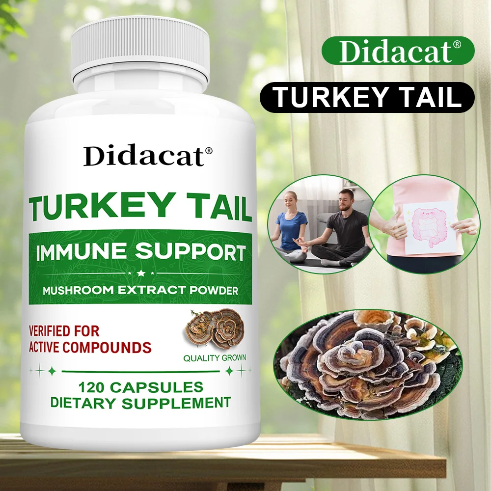 Здоровая грибная добавка, с хвостом индейки, поддерживает Gut и иммунитетную систему, способствует пищеварению, капсулы 30/60/120
Здоровая грибная добавка, с хвостом индейки, поддерживает Gut и иммунитетную систему, способствует пищеварению, капсулы 30/60/120