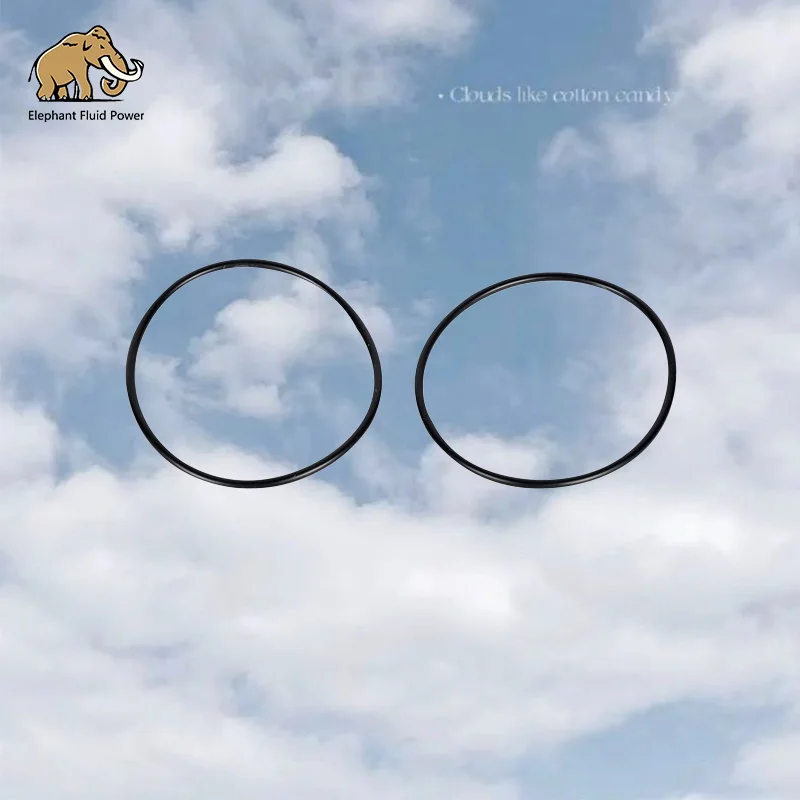 Гидравлические детали насоса Parker Gear серии P75, уплотнительное кольцо, многофункциональная прокладка 67*2,65,
Гидравлические детали насоса Parker Gear серии P75, уплотнительное кольцо, многофункциональная прокладка 67*2,65,