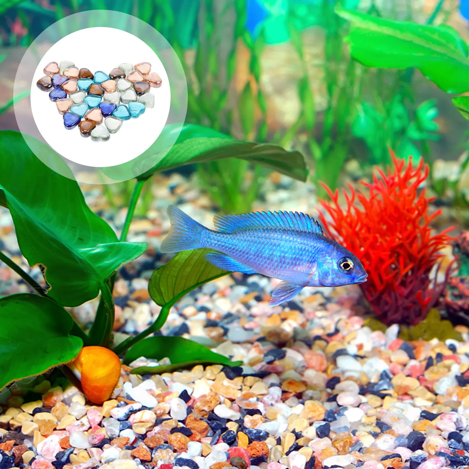 Набор декоративных камней для аквариума: цветные стеклянные камни для оформления аквариумов, садовых цветочных горшков и ландшафтного дизайна своими руками
Набор декоративных камней для аквариума: цветные стеклянные камни для оформления аквариумов, садовых цветочных горшков и ландшафтного дизайна своими руками