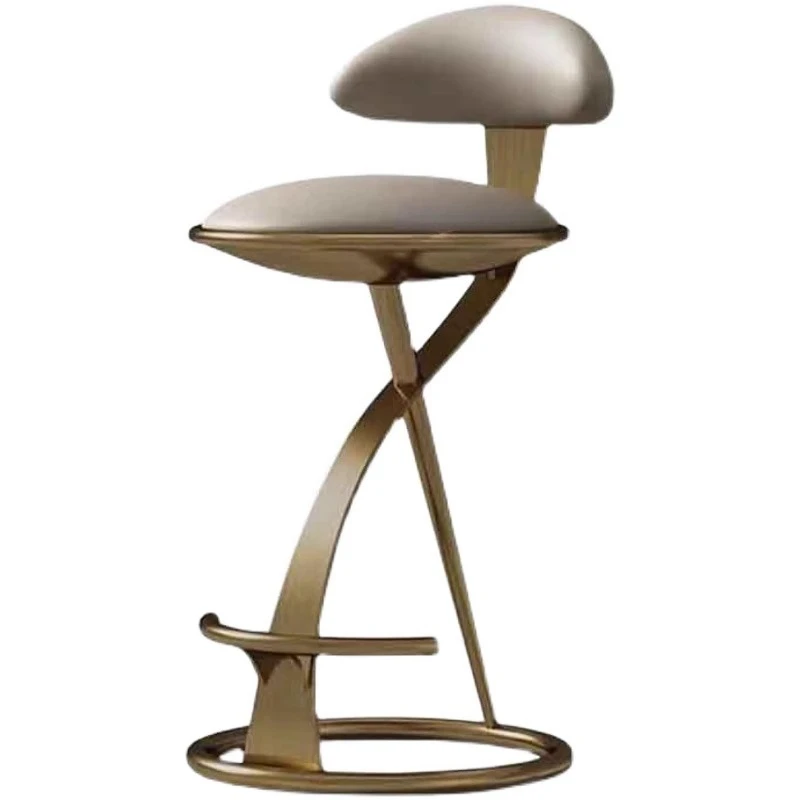 Household stainless steel chair, light luxury modern leather chair, high-end villa leisure chair
Household stainless steel chair, light luxury modern leather chair, high-end villa leisure chair