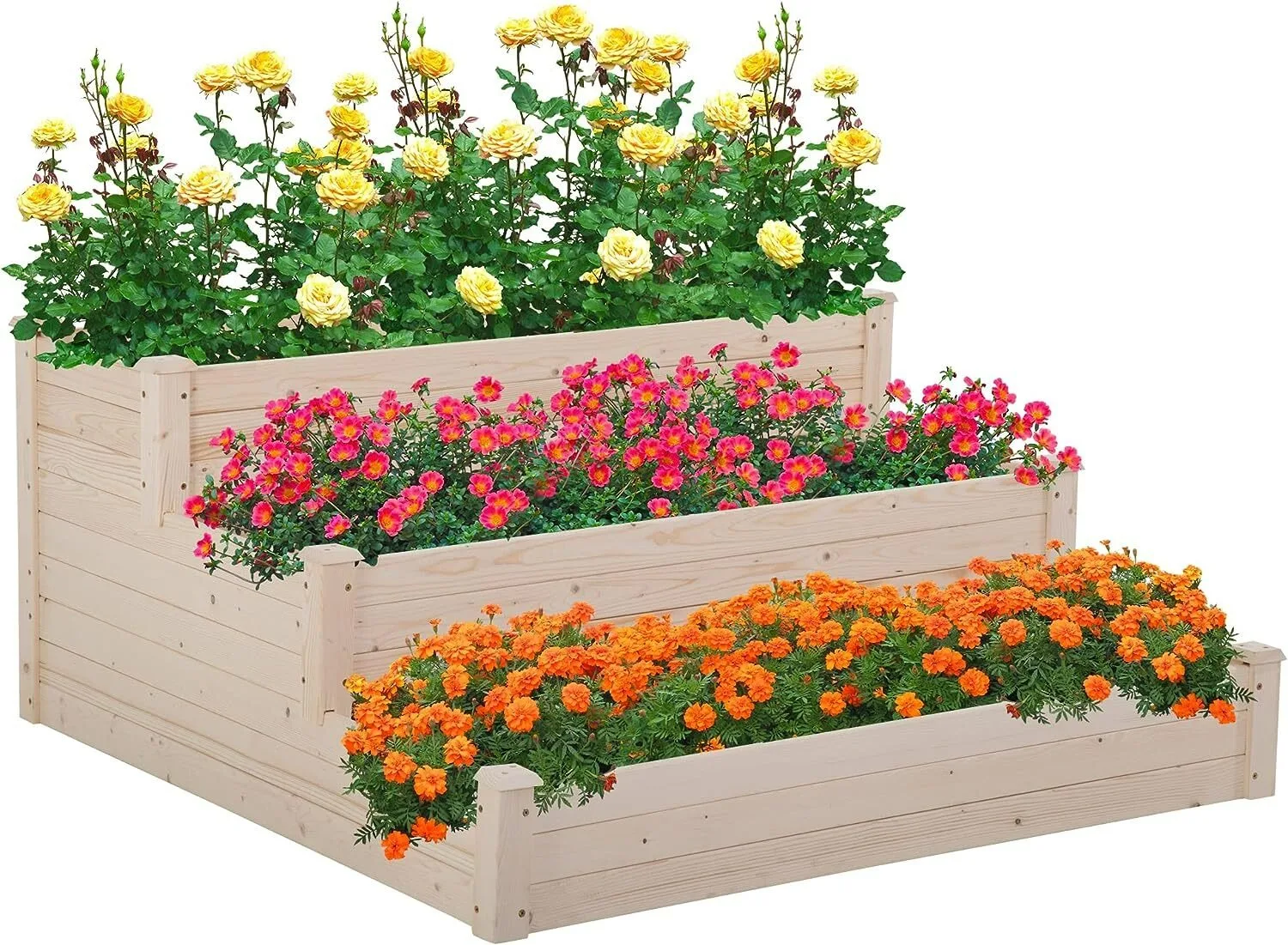 3-Tier Garden Raise Bed Elevated Garden Bed Wood Planter Box Kit Wooden Elevated
3-Tier Garden Raise Bed Elevated Garden Bed Wood Planter Box Kit Wooden Elevated