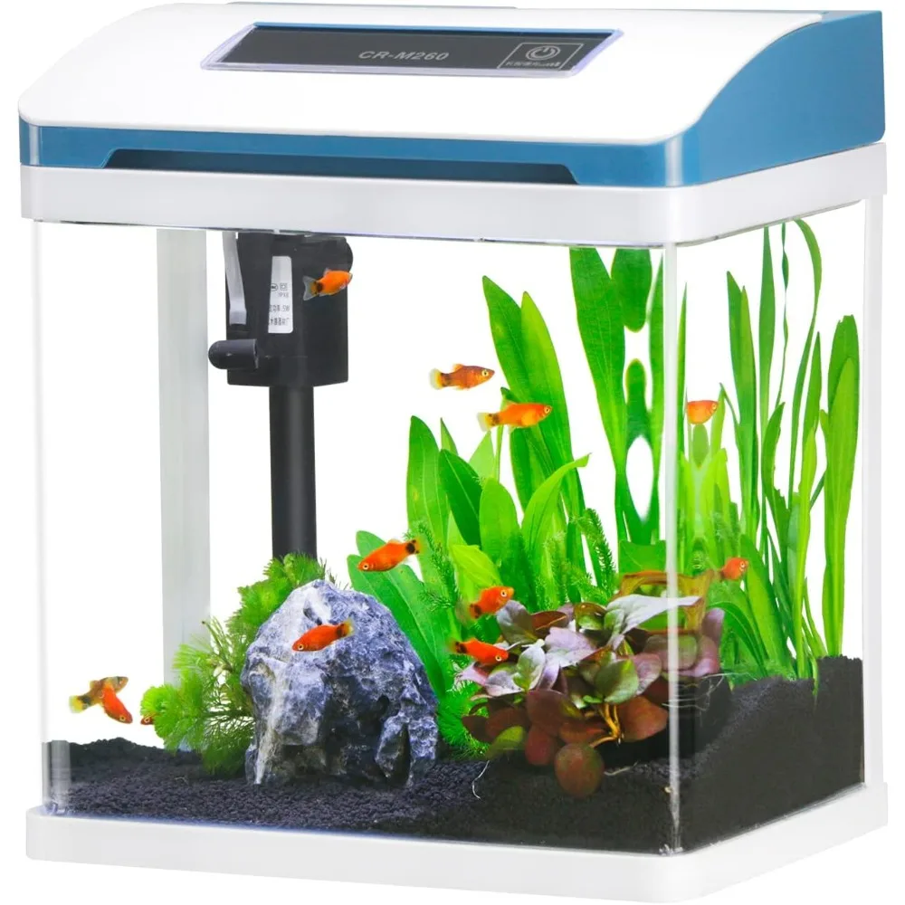 Desktop Fish Tanks for Room Decor, Desktop Fishbowl, Aquarium for Fish Gifts, Aquatic Pet Supplies, Free Shipping
Desktop Fish Tanks for Room Decor, Desktop Fishbowl, Aquarium for Fish Gifts, Aquatic Pet Supplies, Free Shipping