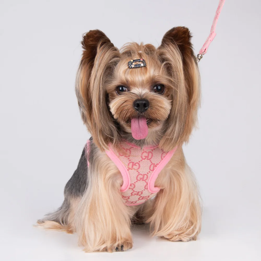 Tide brand pet chest back strangulation dog leash set dog walking rope cat adjustable dog chest back.
Tide brand pet chest back strangulation dog leash set dog walking rope cat adjustable dog chest back.