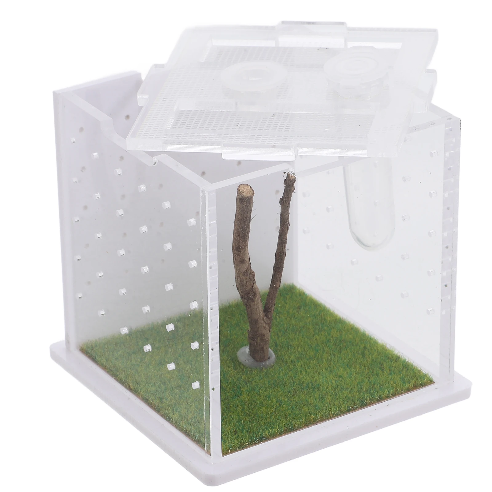 Jumping Spider Breeding Box Terrarium Feeding Case Transparent Cage Insect Container Small Portable Home Office Breathing Holes
Jumping Spider Breeding Box Terrarium Feeding Case Transparent Cage Insect Container Small Portable Home Office Breathing Holes