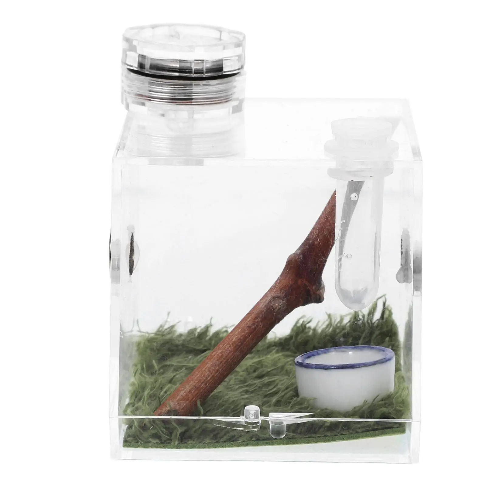 2pcs Jumping Breeding Box Glass Cage Large Size Mini Insect House Light Pet Habitat Insect Enclosure
2pcs Jumping Breeding Box Glass Cage Large Size Mini Insect House Light Pet Habitat Insect Enclosure