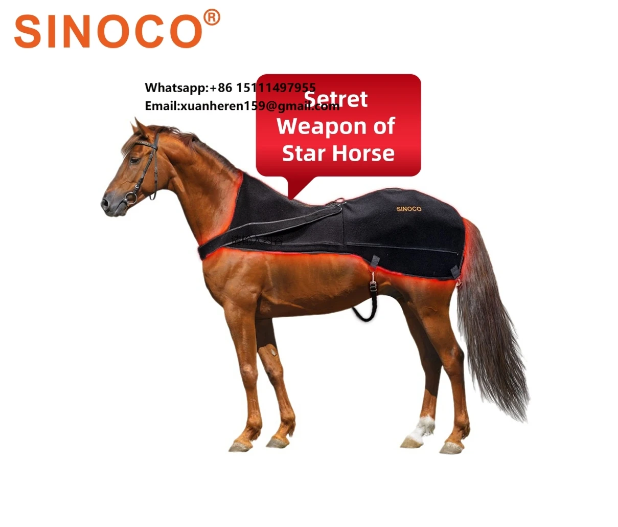 660nm850nm Top Equestrian Equipment Star Horse Race Veterinary Instruments for Equine Healthcare
660nm850nm Top Equestrian Equipment Star Horse Race Veterinary Instruments for Equine Healthcare