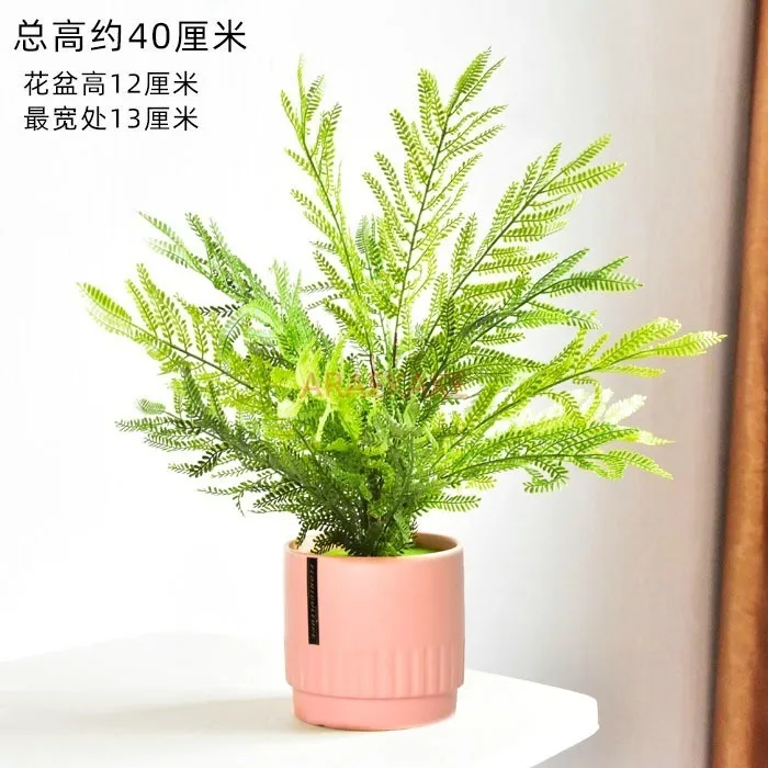 Living room simulation plant fern green plant decoration small potted plant desktop decoration
Living room simulation plant fern green plant decoration small potted plant desktop decoration