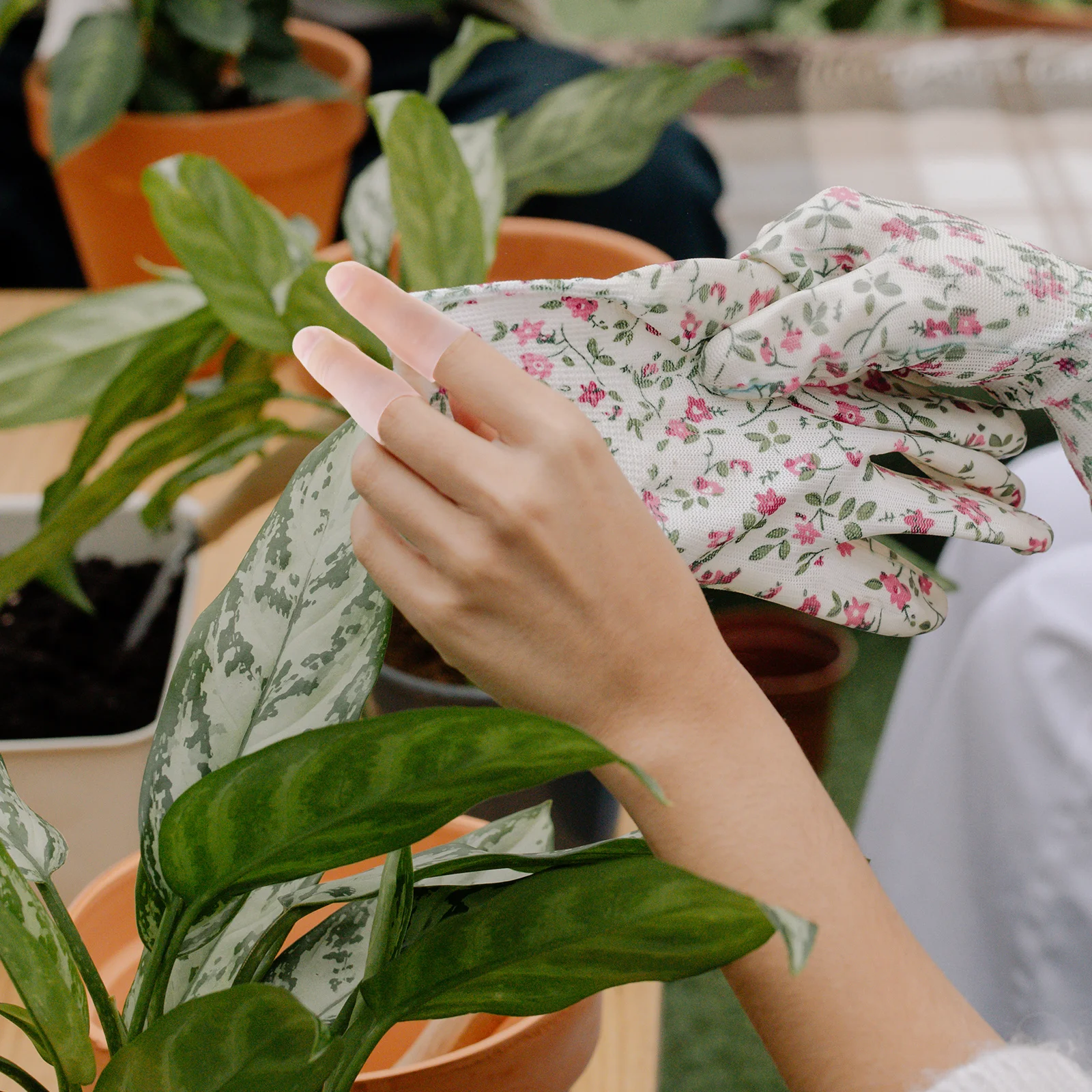 Silicone Finger Covers Reusable Non-Slip Wear-Resistant For Various Sizes Kitchen Garden Construction Typing Painting
Silicone Finger Covers Reusable Non-Slip Wear-Resistant For Various Sizes Kitchen Garden Construction Typing Painting