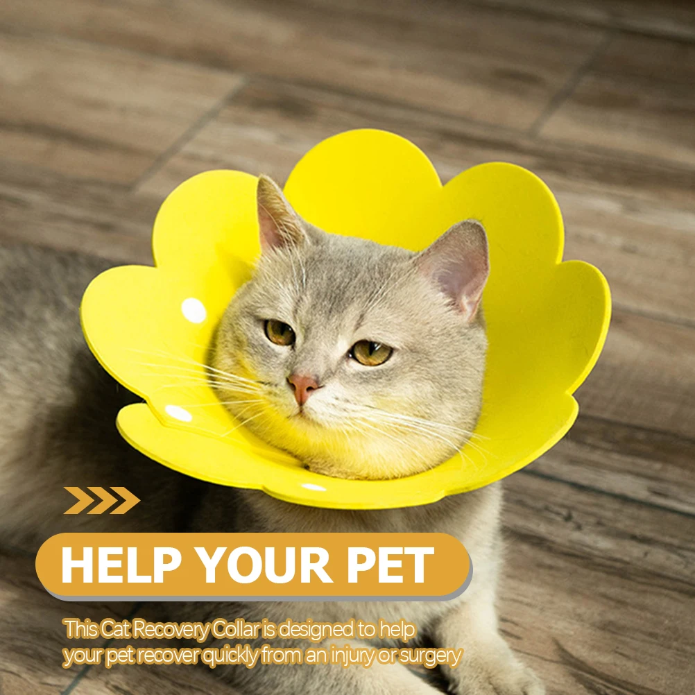 2Pcs Cat Cone Collar Recovery Soft Supple Anti-Licking Protective Collar for Surgery Postoperative Wound Healing Pets
2Pcs Cat Cone Collar Recovery Soft Supple Anti-Licking Protective Collar for Surgery Postoperative Wound Healing Pets
