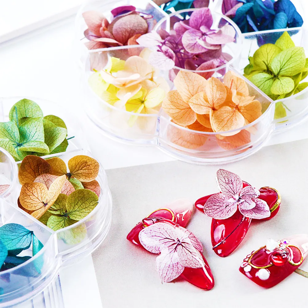 Dried Flowers Nail Stickers Decoration Art Supply Creative Patterns Easy Apply Natural Colorfast Fits Nails Big Small Style
Dried Flowers Nail Stickers Decoration Art Supply Creative Patterns Easy Apply Natural Colorfast Fits Nails Big Small Style