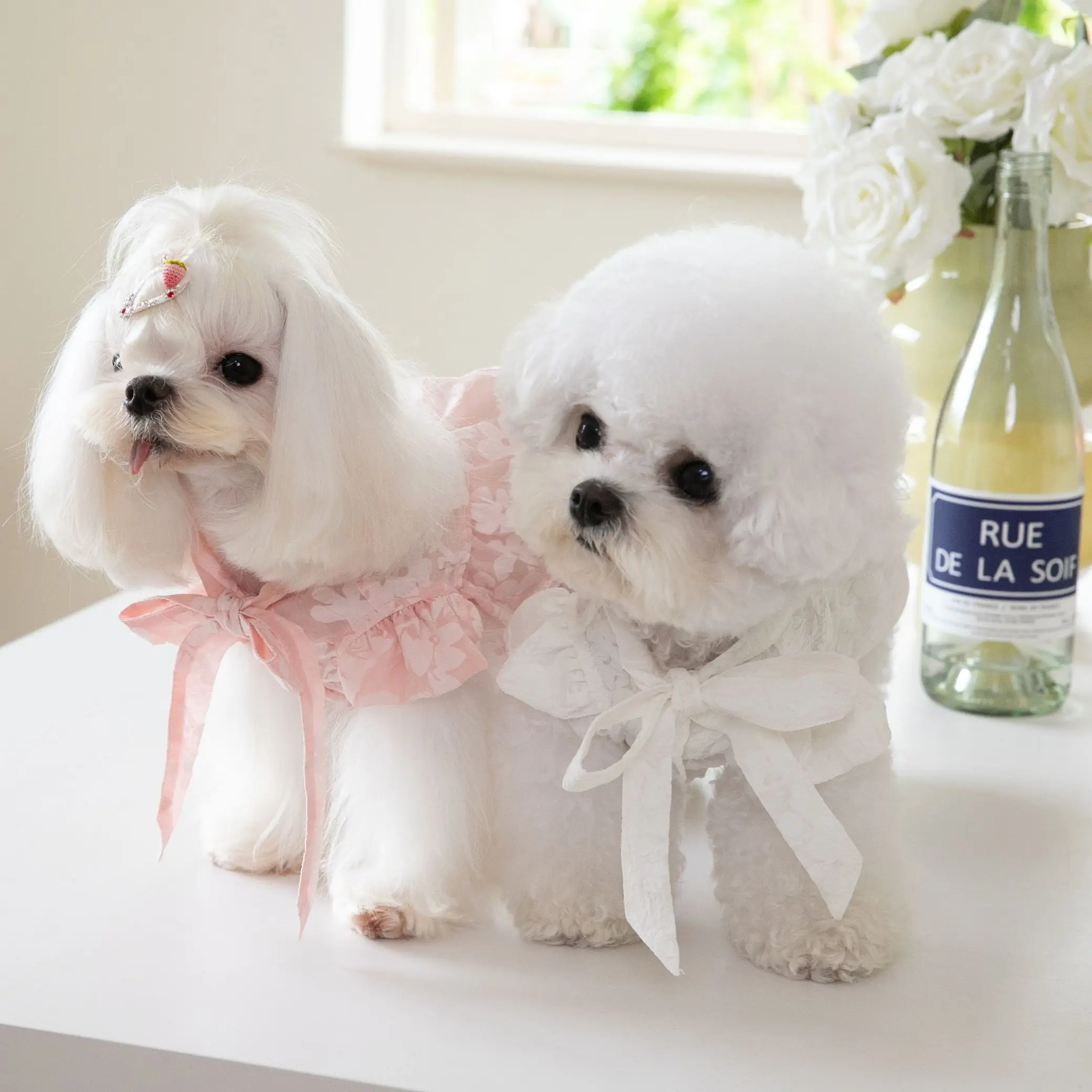 Lace Up Bow Neck Skirt Pet Cat Dog Teddy Fillibeg Fashion Puppy Clothes Dog Dress
Lace Up Bow Neck Skirt Pet Cat Dog Teddy Fillibeg Fashion Puppy Clothes Dog Dress