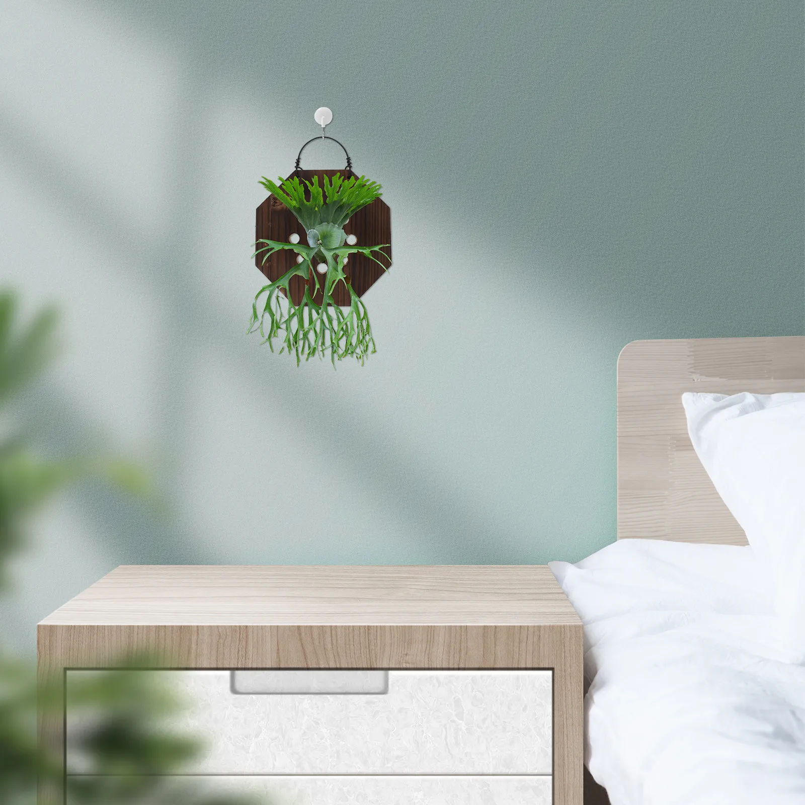 Fern Mounting Board Rustic Wooden Wall Planter for Vertical Indoor Garden Platycerium Wall Display Hanging Planter for Orchids
Fern Mounting Board Rustic Wooden Wall Planter for Vertical Indoor Garden Platycerium Wall Display Hanging Planter for Orchids