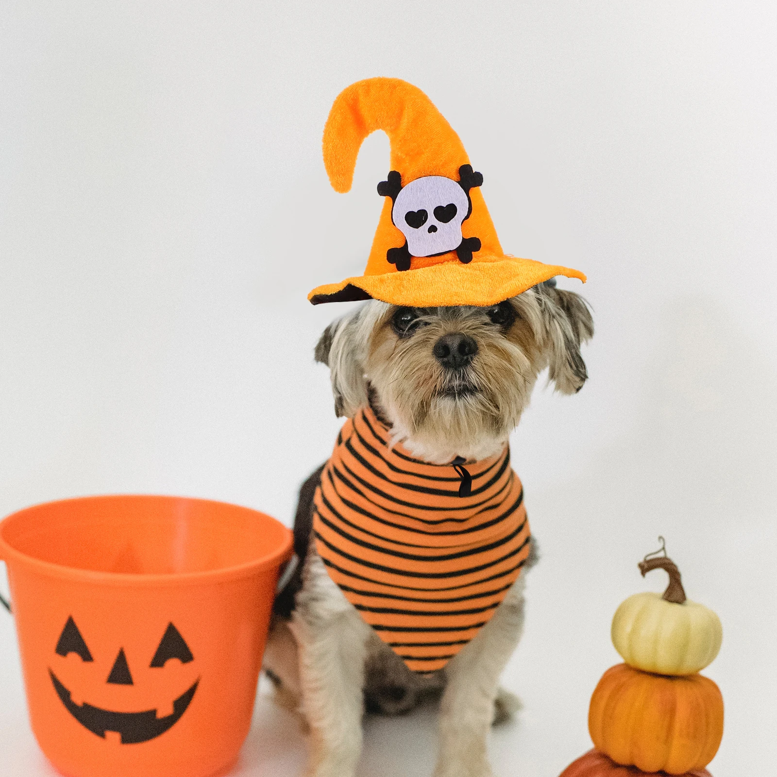 1Pc Cat Halloween Hat Comfortable Short Pet Hat Suitable for Halloween Christmas Party Funny Pet Headgear
1Pc Cat Halloween Hat Comfortable Short Pet Hat Suitable for Halloween Christmas Party Funny Pet Headgear