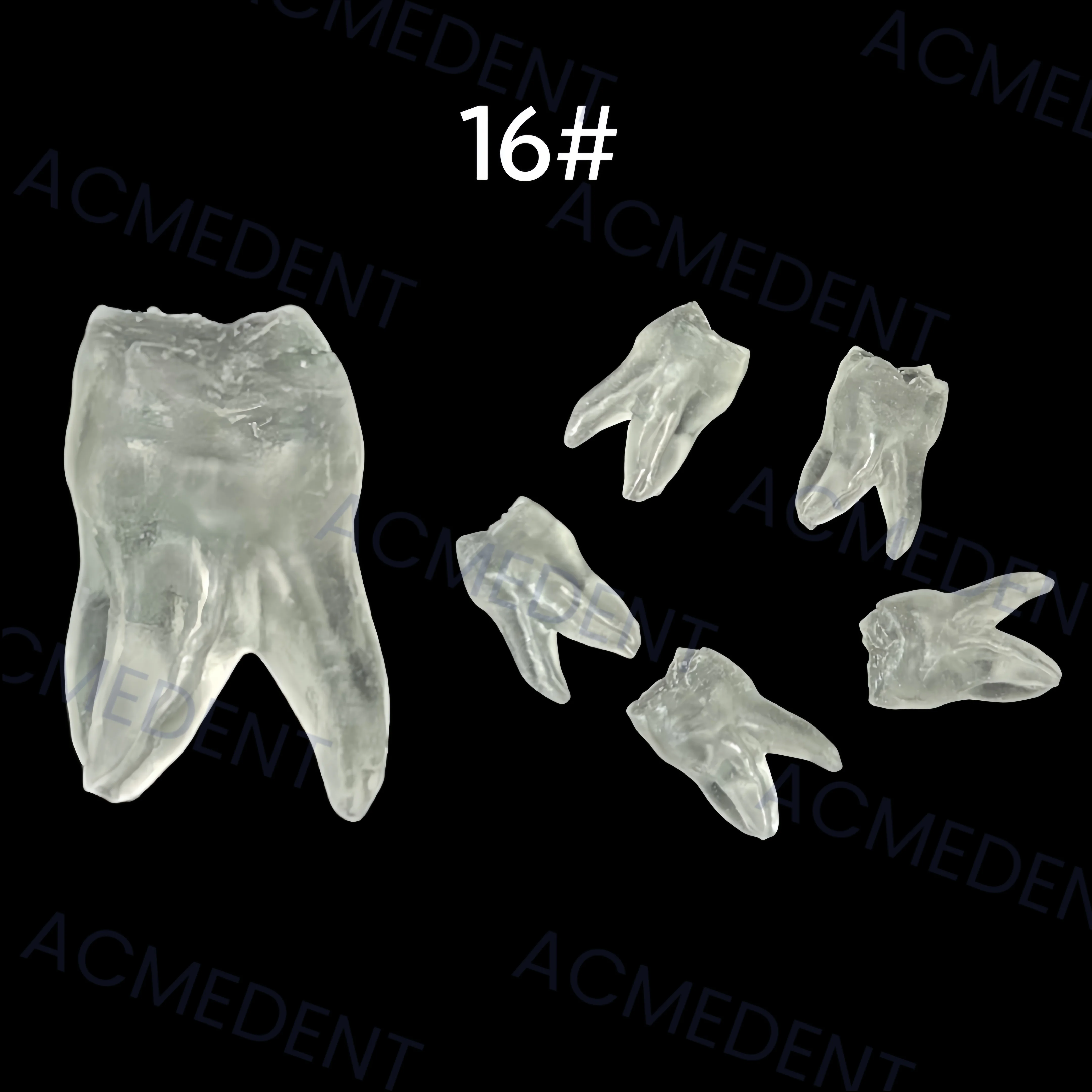 Модель зубных молярных зубов 16 #, целлюлоза корневого канала, Apical File, 5 шт. ~ 50 шт. для обучения студентам
Модель зубных молярных зубов 16 #, целлюлоза корневого канала, Apical File, 5 шт. ~ 50 шт. для обучения студентам