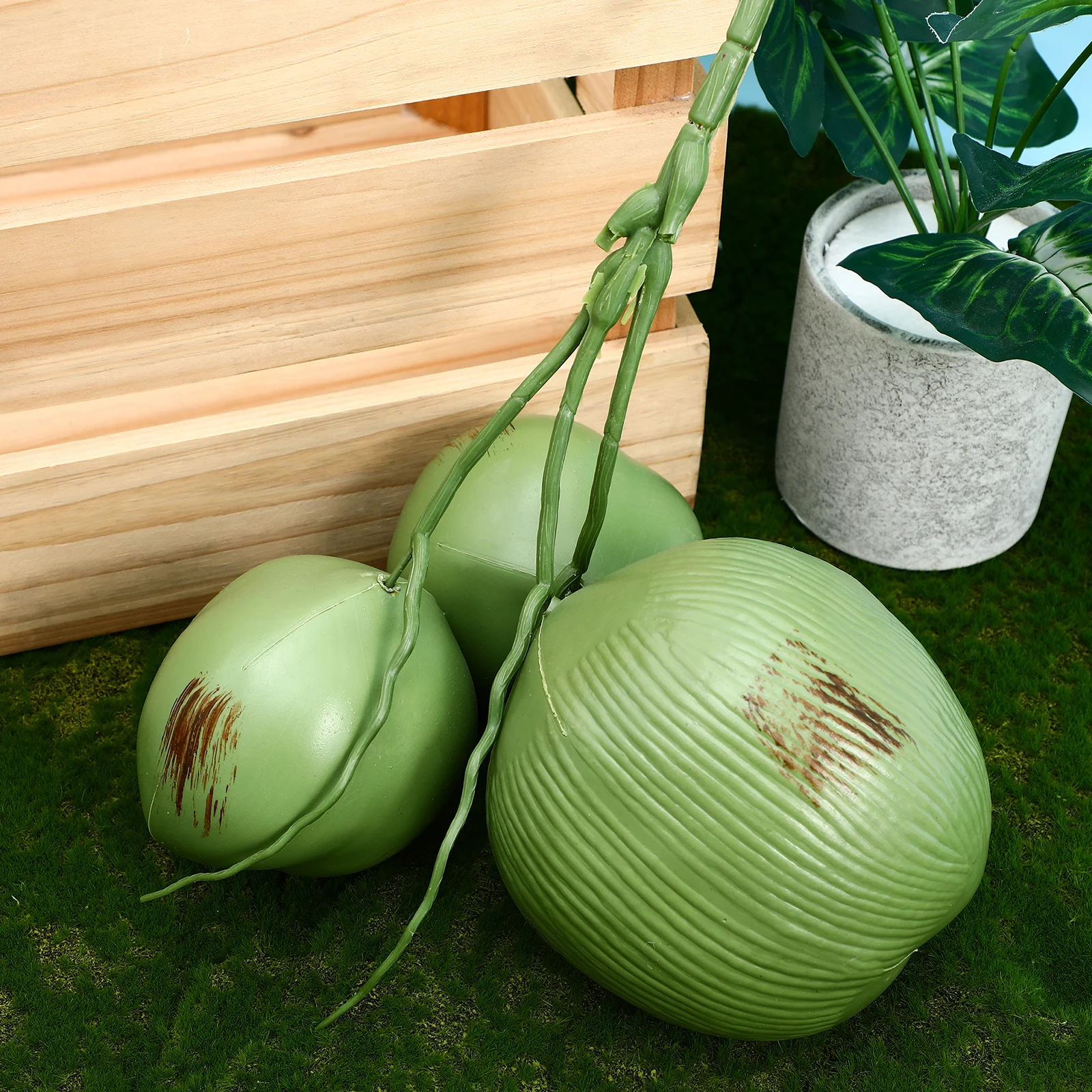 Coconut Tree Decoration Artificial Cocoanuts 1 Large 2 Small Reusable Props For Farmhouse Restaurant Tropical Party
Coconut Tree Decoration Artificial Cocoanuts 1 Large 2 Small Reusable Props For Farmhouse Restaurant Tropical Party