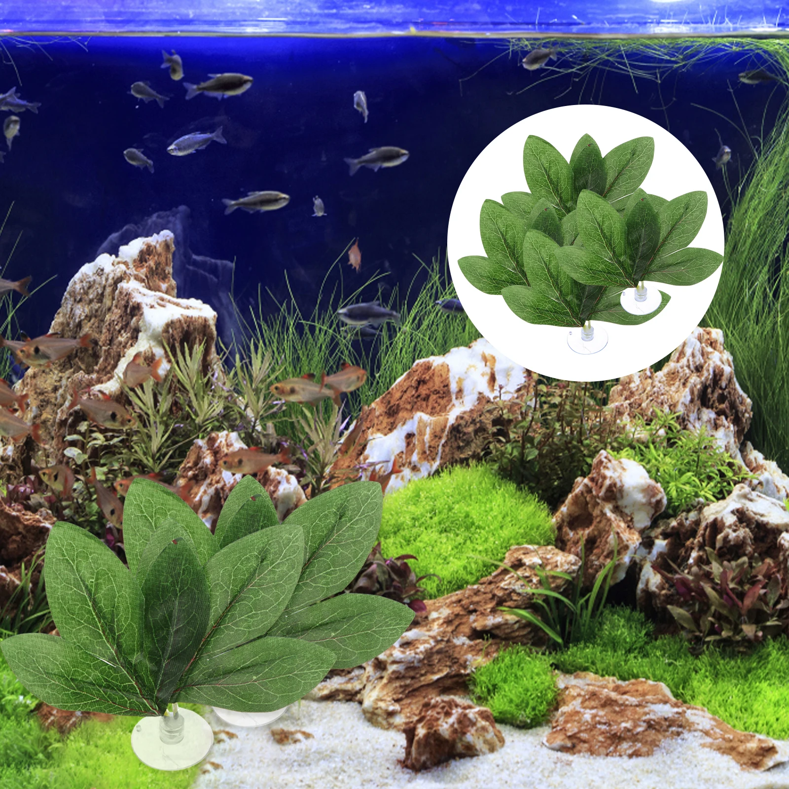 10pcs Simulation Peony Leaves Artificial Fish Tank Landscape Plant For Aquarium Reptile Cage Decor Fake Leaves Ornament Habitat
10pcs Simulation Peony Leaves Artificial Fish Tank Landscape Plant For Aquarium Reptile Cage Decor Fake Leaves Ornament Habitat