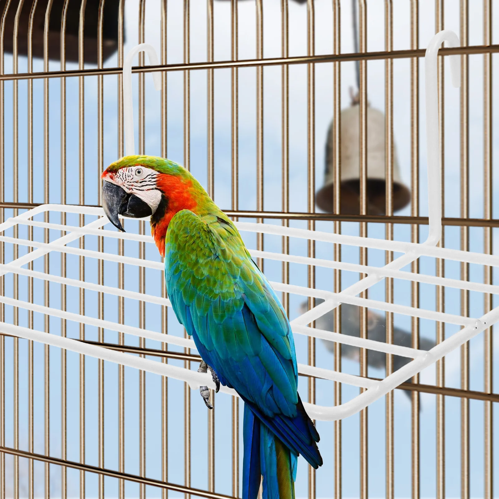 Bird Cage Platform Wall Grid Perch Black White Wrought Iron Hanging Stand Parrot Toy Resting Small Birds Parakeets
Bird Cage Platform Wall Grid Perch Black White Wrought Iron Hanging Stand Parrot Toy Resting Small Birds Parakeets