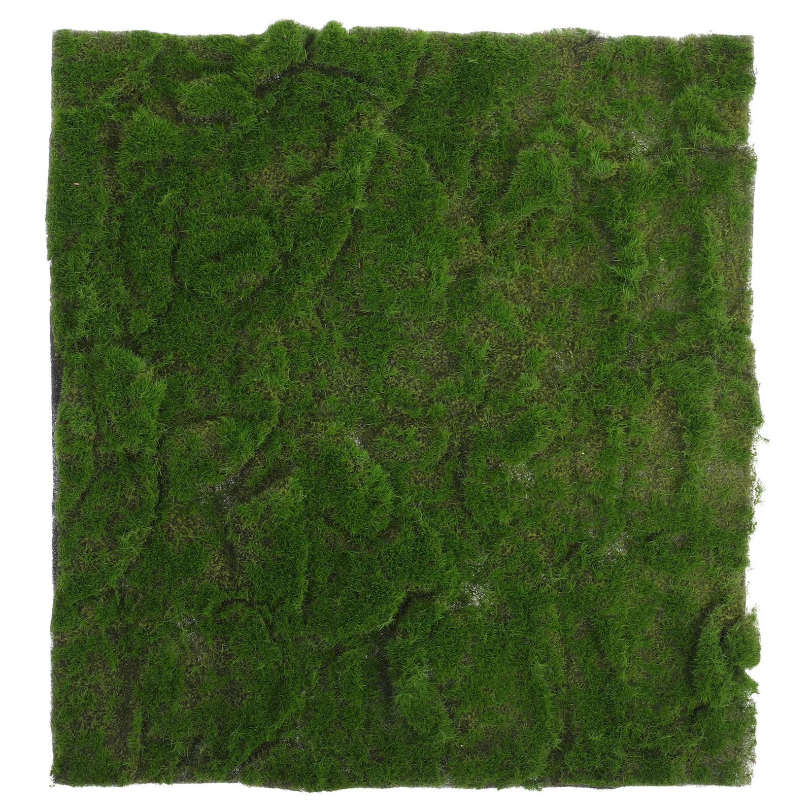 1 Roll Artificial Moss Mat 30Cm Wide For Crafts Wedding Decor Terrarium Diy Faux Grass Carpet Fake Lawn Turf Table Runner Indoor
1 Roll Artificial Moss Mat 30Cm Wide For Crafts Wedding Decor Terrarium Diy Faux Grass Carpet Fake Lawn Turf Table Runner Indoor