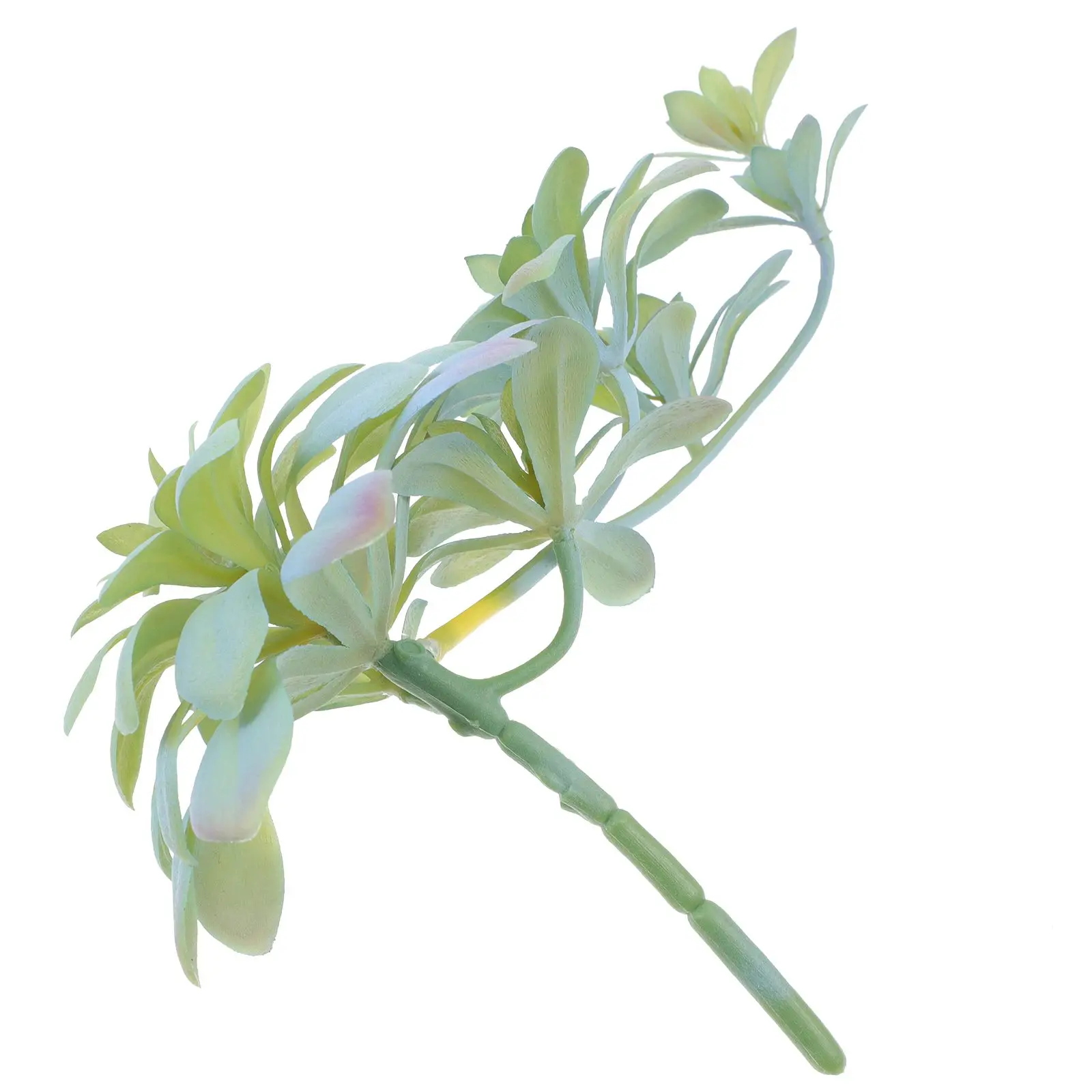 Simulated Succulents Plants 27cm Lifelike Fake Home Office Wall Hanging Vine Artificial Indoor Flower Arrangement Durability
Simulated Succulents Plants 27cm Lifelike Fake Home Office Wall Hanging Vine Artificial Indoor Flower Arrangement Durability