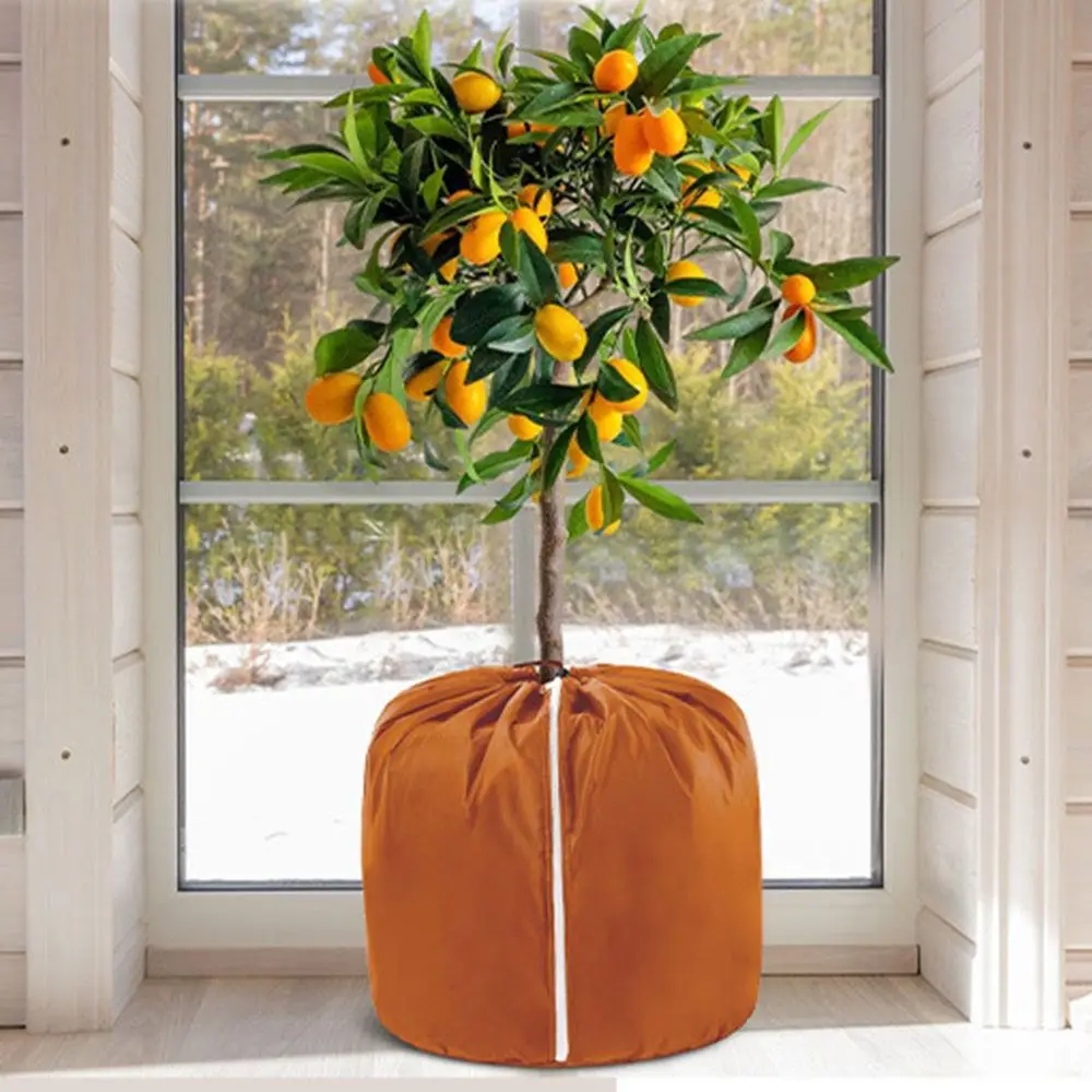Oxford Cloth Winter Plant Cover Waterproof Reusable Plant Protection Cover With Zipper Thermal Protection Anti-Freezing Bag
Oxford Cloth Winter Plant Cover Waterproof Reusable Plant Protection Cover With Zipper Thermal Protection Anti-Freezing Bag