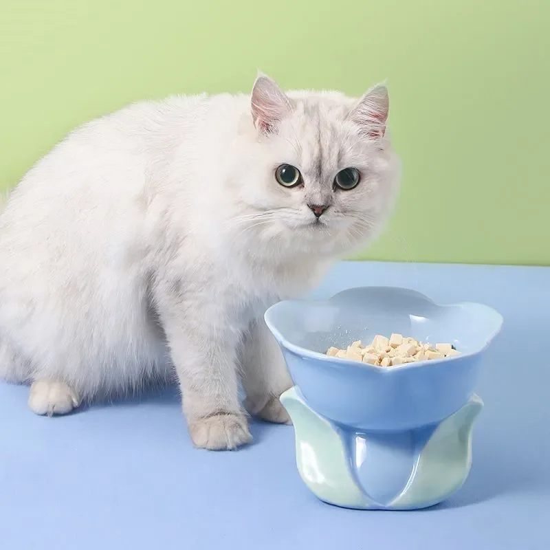 Cute Ceramic Cat Bowl High Foot Plate Non-slip Flower Shape Dog Puppy Feeder Feeding Food Water Protection Cervical Pet Supplies 
Cute Ceramic Cat Bowl High Foot Plate Non-slip Flower Shape Dog Puppy Feeder Feeding Food Water Protection Cervical Pet Supplies