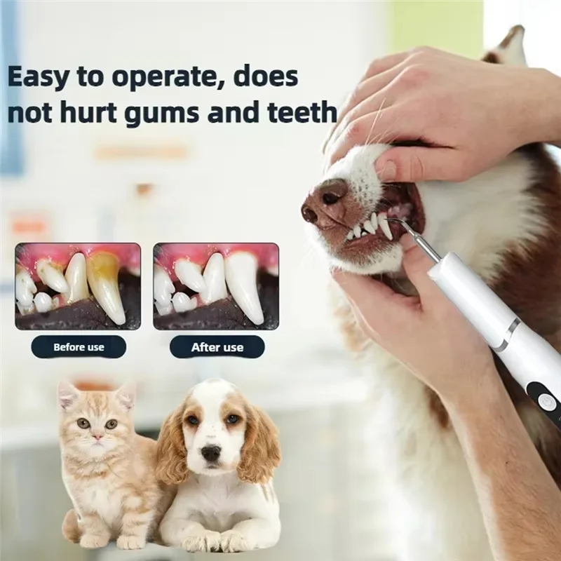 ABVG-Pets Real Ultrasonic Tooth Cleaner Usb Charging Tooth Cleaner Cats And Dogs Clean Mouth Tooth Cleaner
ABVG-Pets Real Ultrasonic Tooth Cleaner Usb Charging Tooth Cleaner Cats And Dogs Clean Mouth Tooth Cleaner