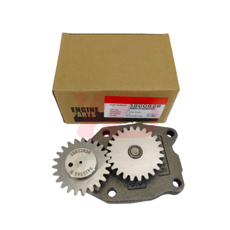 Wholesale Excavator Spare Parts 6CT Oil Pumps 3800828 3802278 6CT Oil Pump 3800828 FITS for 6CT
Wholesale Excavator Spare Parts 6CT Oil Pumps 3800828 3802278 6CT Oil Pump 3800828 FITS for 6CT