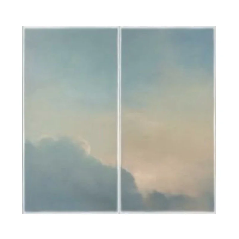 Pintura al óleo de cielo azul pintada a mano sobre lienzo para decoración de habitación de bebé 80x80cm sin marco
Pintura al óleo de cielo azul pintada a mano sobre lienzo para decoración de habitación de bebé 80x80cm sin marco