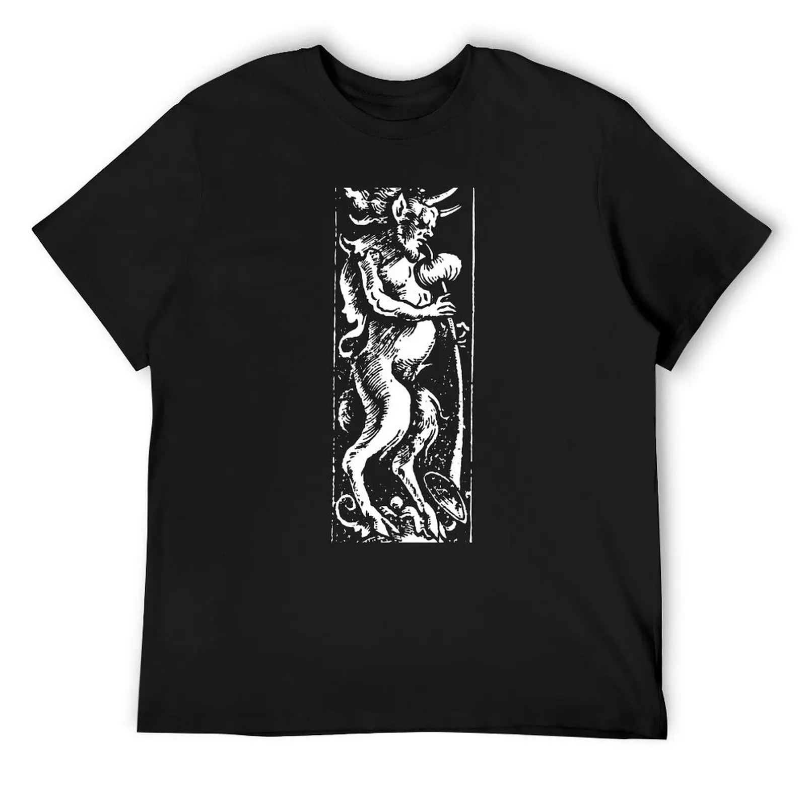 Lectionum Antiquarium T-Shirt anime stuff cute tops mens t shirts casual stylish
Lectionum Antiquarium T-Shirt anime stuff cute tops mens t shirts casual stylish