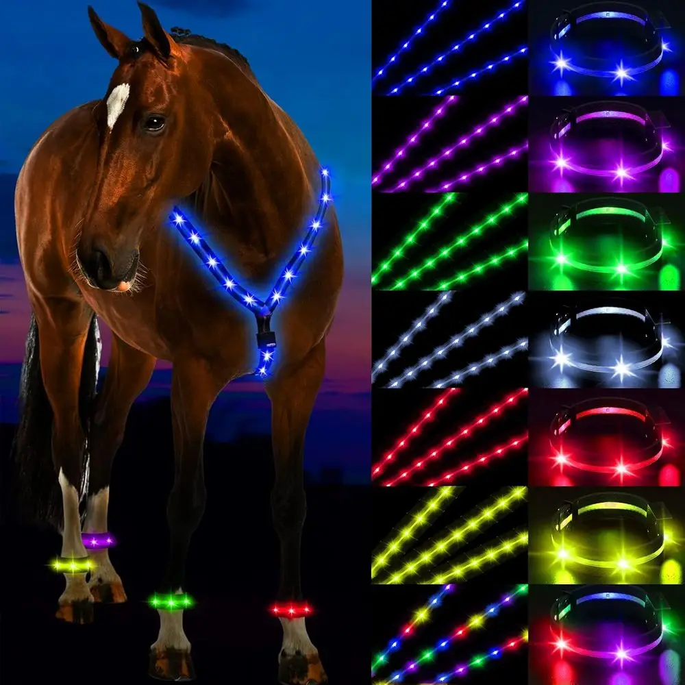 USB Rechargeable 7-Color LED Breastplate & Leg Band Set for Enhanced Visibility and Safety in Night Riding
USB Rechargeable 7-Color LED Breastplate & Leg Band Set for Enhanced Visibility and Safety in Night Riding