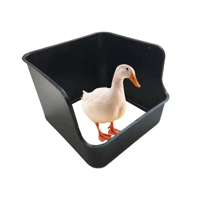 High Quality Egg Nest Box Egg Laying Box for Poultry Farm
High Quality Egg Nest Box Egg Laying Box for Poultry Farm