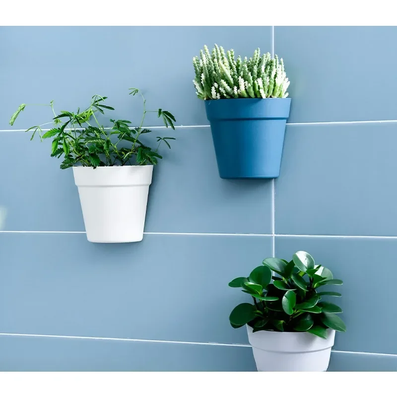 Wall-Mounted Hanging Planter, Semi-Circular Plastic Flower Pot for Small Plants, Creative Wall Decor
Wall-Mounted Hanging Planter, Semi-Circular Plastic Flower Pot for Small Plants, Creative Wall Decor