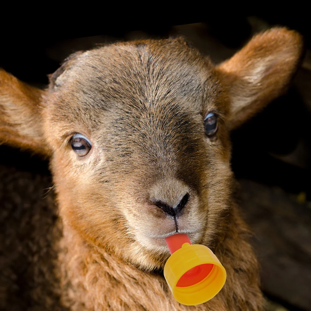 5Pcs Goat Sheep Nipples Pacifier Breastfeeder Replaceable Portable Lamb Accessories Nursing Bottle Safe Durable AntiBiting
5Pcs Goat Sheep Nipples Pacifier Breastfeeder Replaceable Portable Lamb Accessories Nursing Bottle Safe Durable AntiBiting