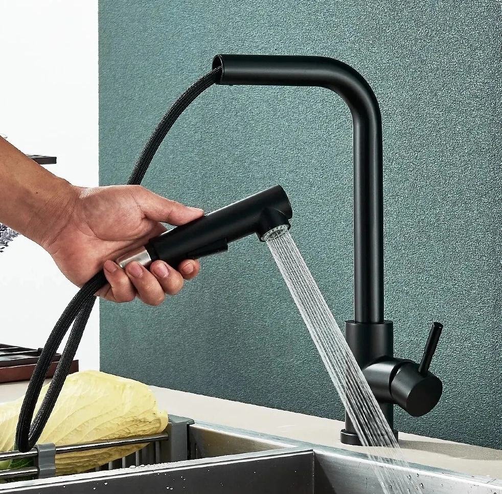 Pull kitchen faucet Flexible 2 mode flow type and spray nozzle faucet Stainless steel hot and cold water mixer faucet
Pull kitchen faucet Flexible 2 mode flow type and spray nozzle faucet Stainless steel hot and cold water mixer faucet