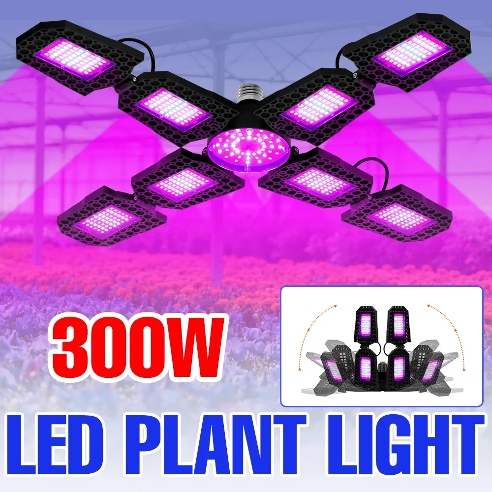 300W E27/E26 Full Spectrum Grow Light Bulb LED Plant Fill Lamp Greenhouse Tent Vegs Hydroponic Indoor Flowers Cultivation Lights
300W E27/E26 Full Spectrum Grow Light Bulb LED Plant Fill Lamp Greenhouse Tent Vegs Hydroponic Indoor Flowers Cultivation Lights