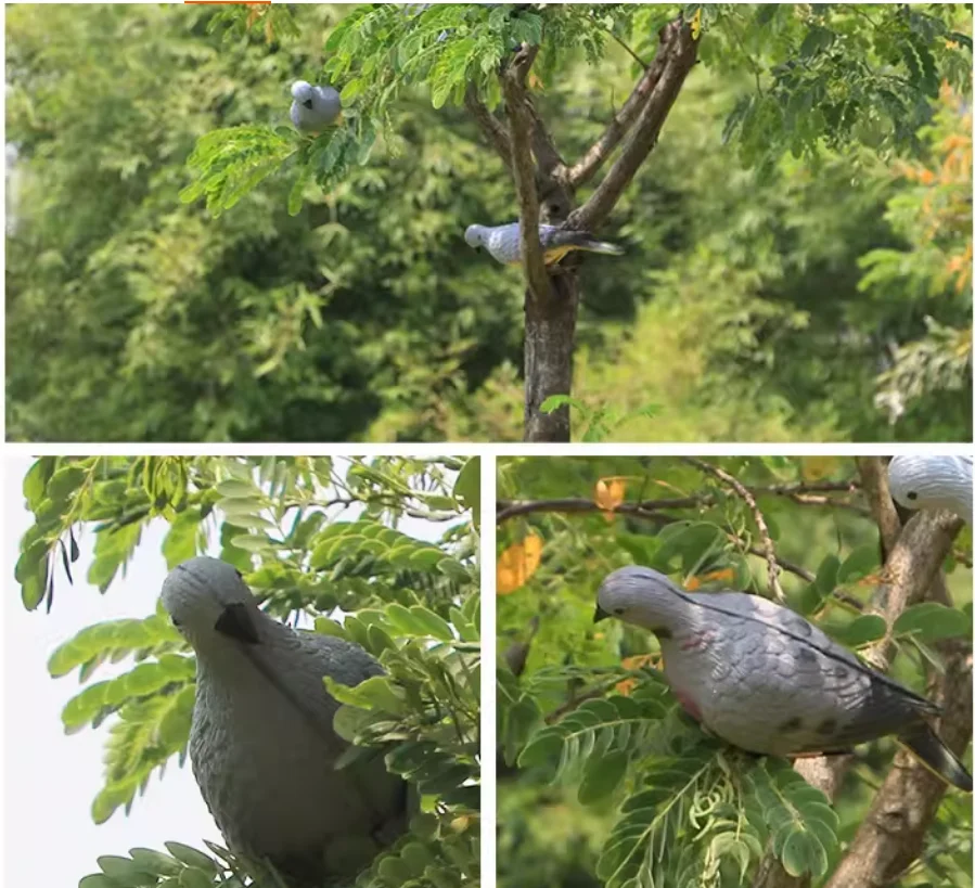 Реалистичная 3D-мишень в виде голубя из пены EVA для тренировок по стрельбе из лука, охоты и спортивных игр на открытом воздухе/во дворе
Реалистичная 3D-мишень в виде голубя из пены EVA для тренировок по стрельбе из лука, охоты и спортивных игр на открытом воздухе/во дворе 