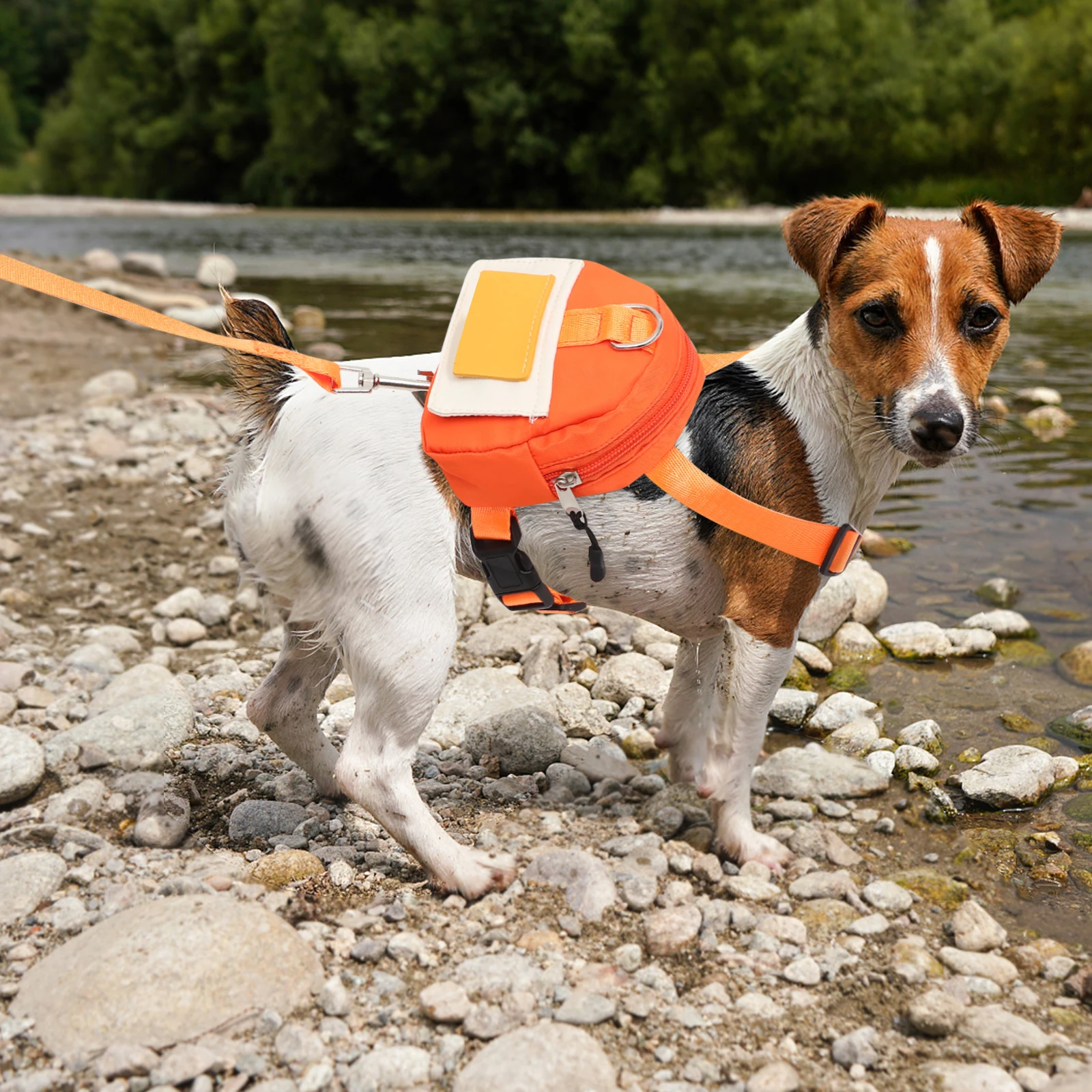 Pet Puppy Backpack Small Dog Bag ange S Portable Harness Vest Supplies Poop Bag Dispenser Outdoor Travel
Pet Puppy Backpack Small Dog Bag ange S Portable Harness Vest Supplies Poop Bag Dispenser Outdoor Travel