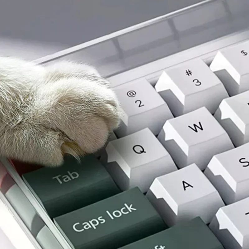 78/108 Keys Acrylic Transparent Dust-Proof Keyboard Case Mechanical Keyboard Dust Cover For E-Sports Computer Gamer
78/108 Keys Acrylic Transparent Dust-Proof Keyboard Case Mechanical Keyboard Dust Cover For E-Sports Computer Gamer