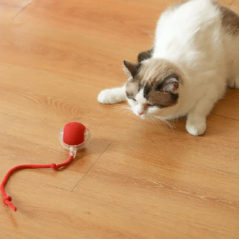Electric Smart Rolling Ball Bionic Motion Robot Automatic obstacle avoidence Usb Recharge Durable interactive Pet Cat Kitten Toy
Electric Smart Rolling Ball Bionic Motion Robot Automatic obstacle avoidence Usb Recharge Durable interactive Pet Cat Kitten Toy