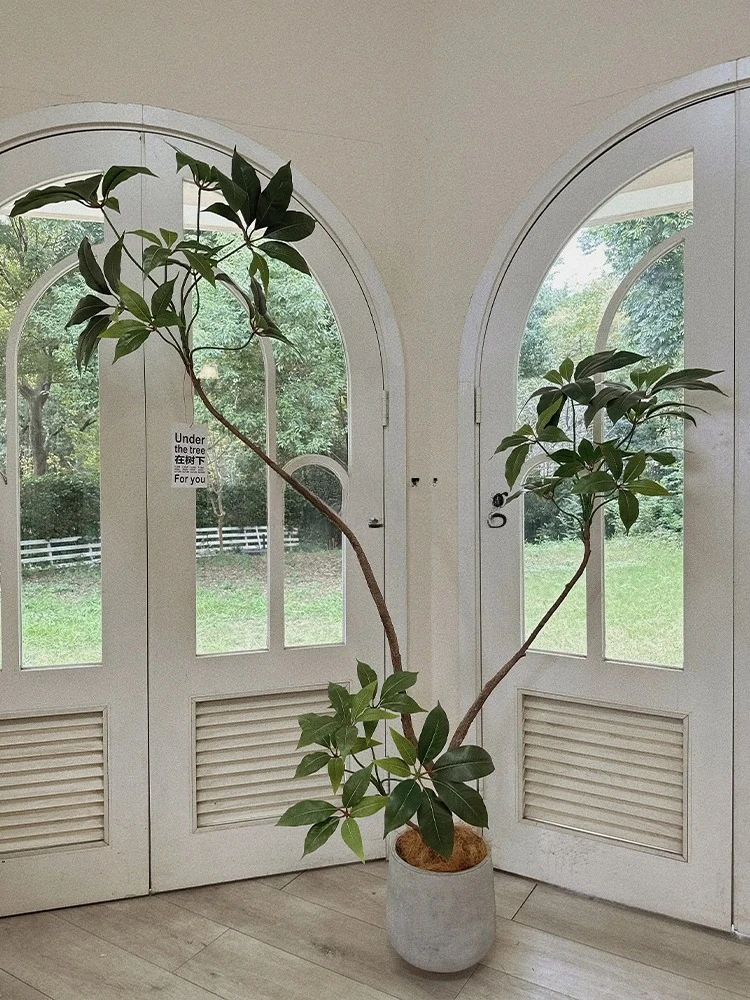 HJ Internet celebrity sofa simulation green plant landscaping high-end light luxury interior decoration potted plants
HJ Internet celebrity sofa simulation green plant landscaping high-end light luxury interior decoration potted plants