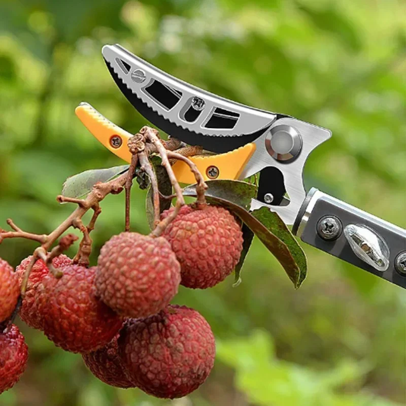 Телескопический сборщик фруктов по высоте, садовые инструменты, сборщик фруктов на дереве, профессиональные ножницы для резки ветвей, сельскохозяйственные принадлежности
Телескопический сборщик фруктов по высоте, садовые инструменты, сборщик фруктов на дереве, профессиональные ножницы для резки ветвей, сельскохозяйственные принадлежности